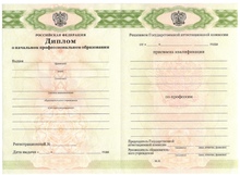 Диплом ПТУ с 2011 по 2026 годы