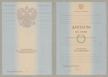 Диплом специалиста с 2003 по 2008 годы
